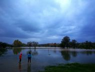 Carmen Huerta Martin