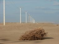 Observatori del Paisatge de Catalunya