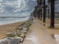 Núria Briansó Montoro