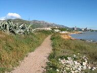 Observatori del Paisatge de Catalunya