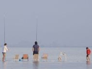 Observatori del Paisatge de Catalunya
