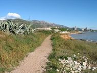 Observatori del Paisatge