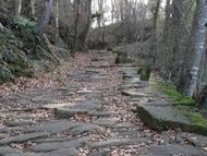 Ma. Àngels Nogué Masmitjà