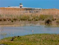 Rafael López-Monné