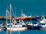 Observatori del Paisatge de Catalunya