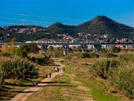 Rafael López-Monné