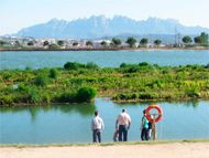 Observatori del Paisatge de Catalunya