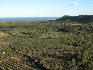 Pere Sala i Martí