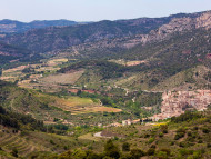 Jordi Salinas