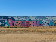 Pere Sala 
