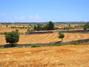 titol foto